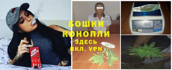 PSILOCYBIN Богородицк