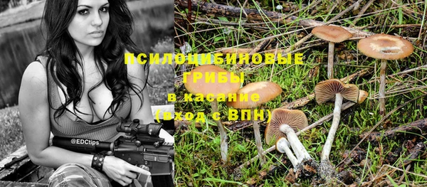 а пвп мука Балабаново