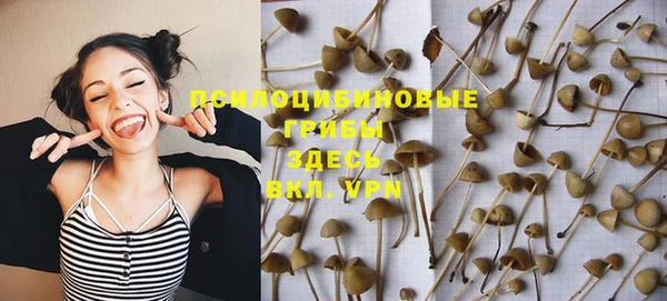 первитин Белоозёрский