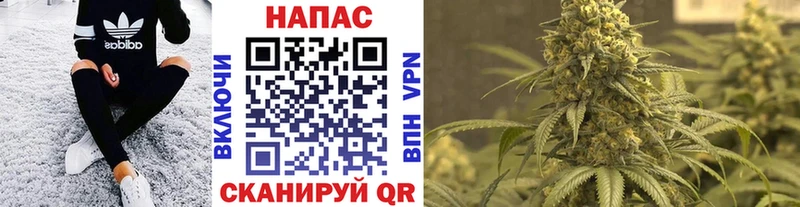 Конопля AK-47  Дальнегорск 